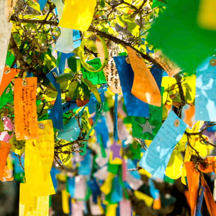 Give in Honor or in Memory - Cards for Hope