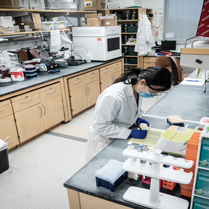 Christine Brown Lab