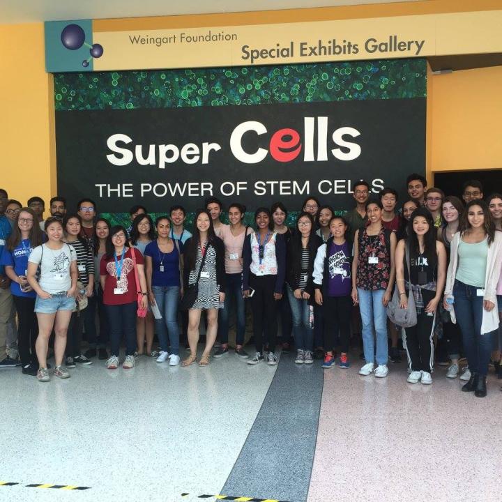 Weungart Foundation Super Cells