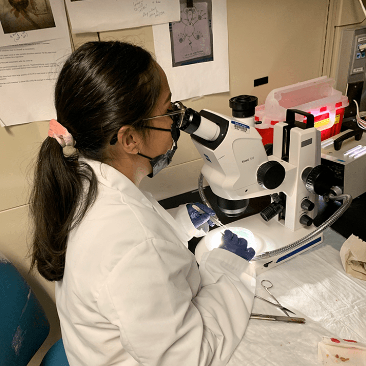 Program trainees gain insight into the teamwork, dedication, and sense of community