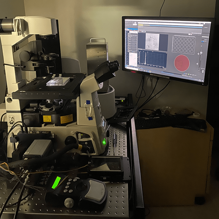 Lab