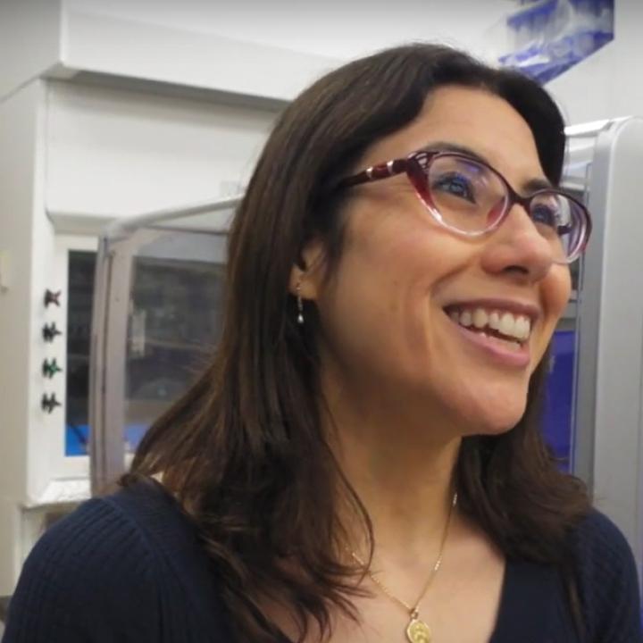 Lindsey Treviño, Ph.D.
