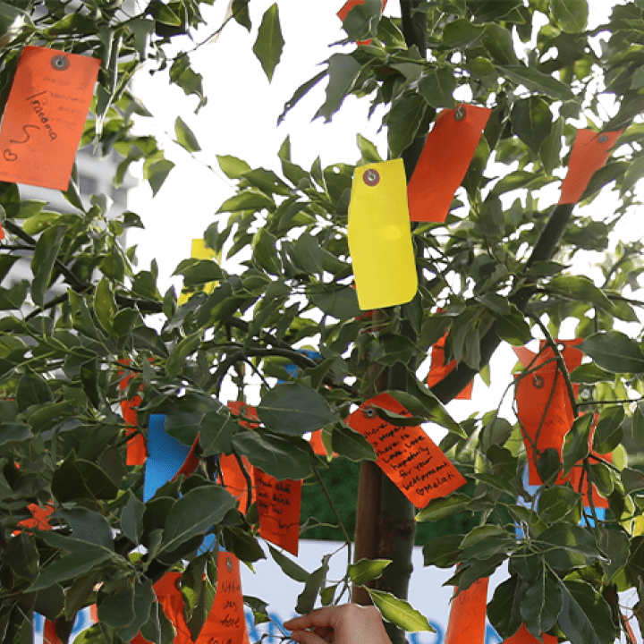 City of Hope’s Wishing Trees bloom with messages of healing