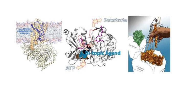 Vaidehi lab image 5