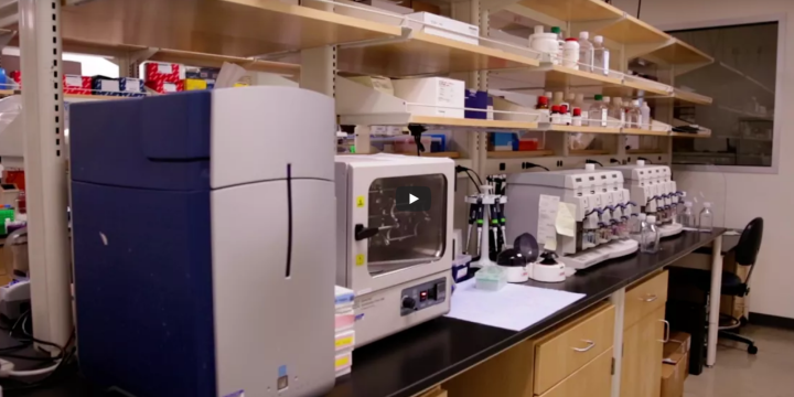 Integrative Genomics And Bioinformatics