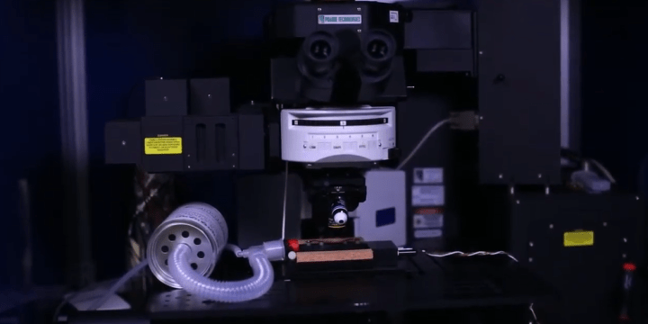 Meet the Light Microscopy Core
