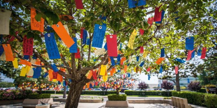 wishing tree with colorful wishing tags