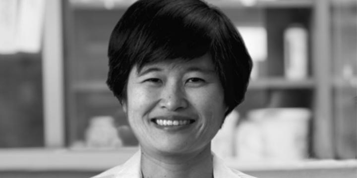Dr. Yoko Fujita-Yamaguchi isolates specific cell proteins that join with insulin and mediate its metabolic effects