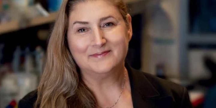 Debbie Thurmond named director of the Diabetes and Metabolism Research Institute