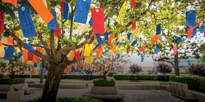 Wishing Tree Notes Tags