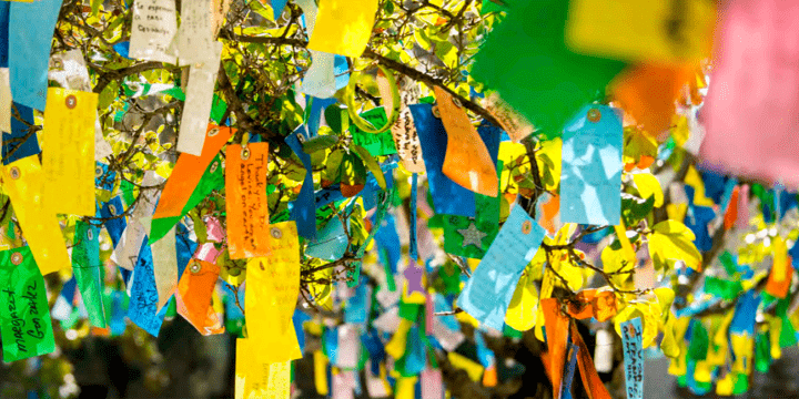 Give in Honor or in Memory - Cards for Hope