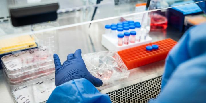 Ongoing lung cancer research in doctor Salgia's lab