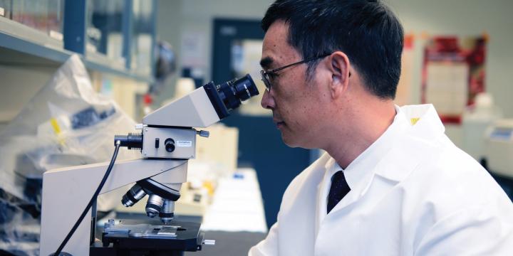 City of Hope 2017 - Dr. Zeng in Lab