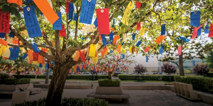 wishing tree with colorful wishing tags