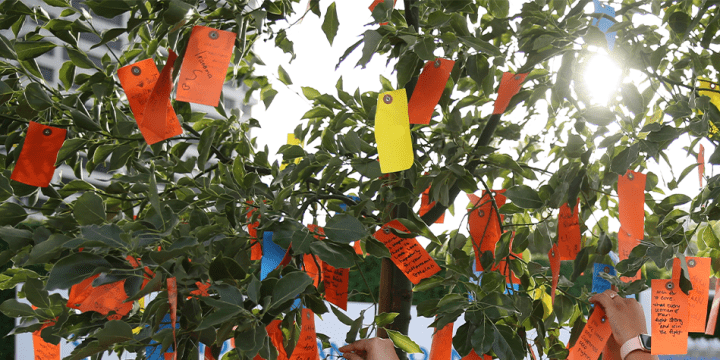 City of Hope’s Wishing Trees bloom with messages of healing