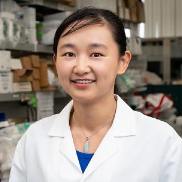 Shanshan Tang