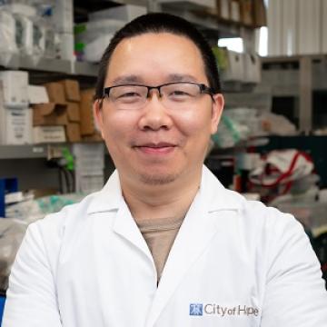 Xiaohui Kong, Ph.D.