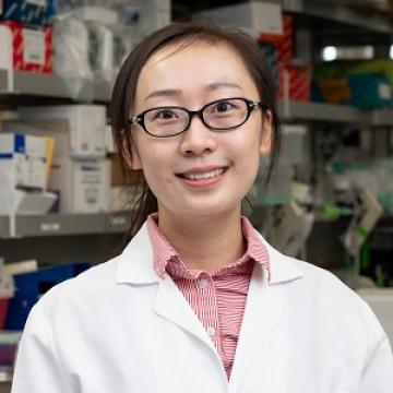 Xiaoqi Wang