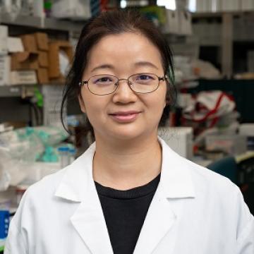 Yingfei Li