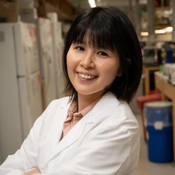 Yukiko Yamaguchi Yukiko Yamaguchi