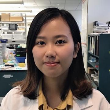 Bixin Wang