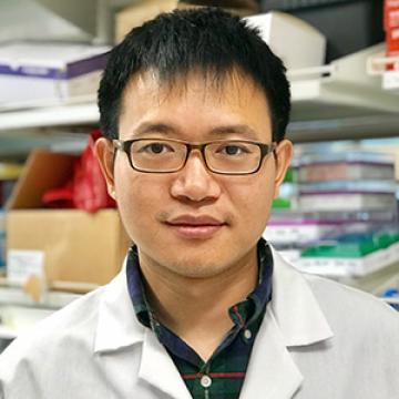 Chao Shen, Ph.D.
