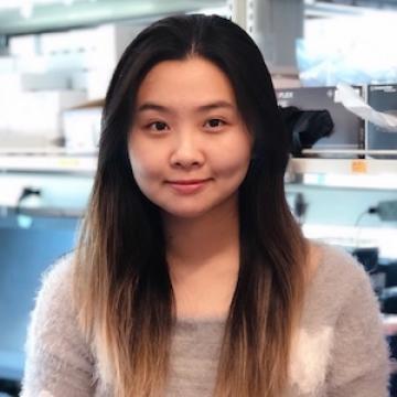 Helen Han, M.S., Research Associate II, Department of Computational and Quantitative Medicine