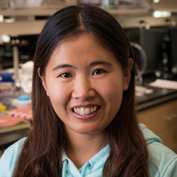 Rui Su, Ph.D.