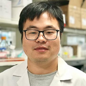 Wei Li, Ph.D.