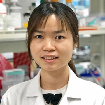 Yangchan Li, M.D.