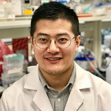Zhen-Hua Chen, Ph.D.