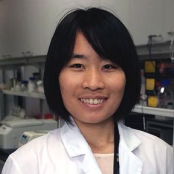 Zhilian Jia, Ph.D., Postdoctoral Fellow, Department of Computational and Quantitative Medicine and Department of Systems Biology