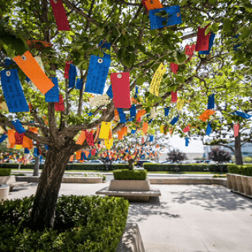 wishing tree with colorful wishing tags