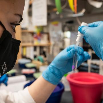 Close up of researcher in a lab