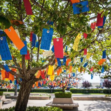 wishing tree with colorful wishing tags