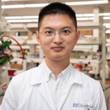 Pengfei Zhang