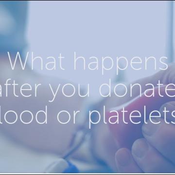What happens after you donate blood or platelets