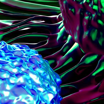 Car-t cell image