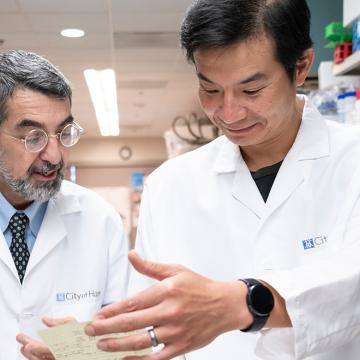 Alberto Pugliese, M.D., Director of The Wanek Family Project for Type 1 Diabetes