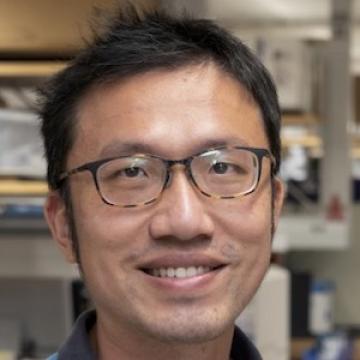 Cheng-Fu (Jeff) Kuo Christine Brown Lab