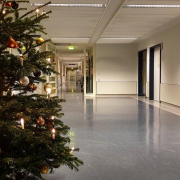 Christmas tree in a hospital hallway