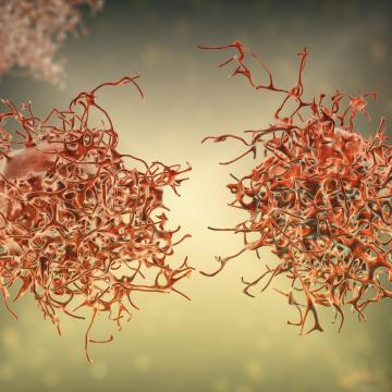 Illustration of orange cervical cancer cells in front of a green background