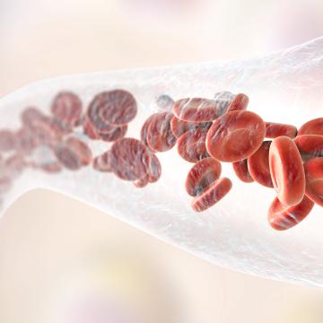 blood cells