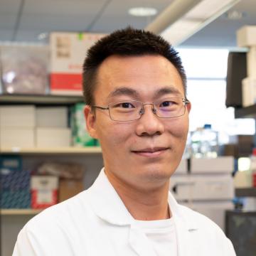 Linsen Shi, M.D./Ph. D.