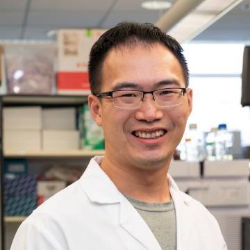 Zhipeng Fang, Ph.D.