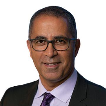 Joseph Mikhael, Professor