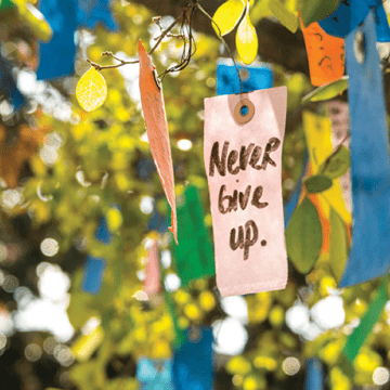Wishing Tree with Never Give Up Tag