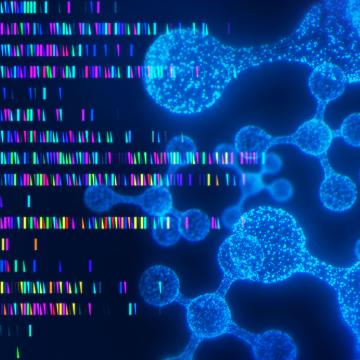 gene sequencing