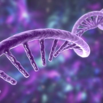 mRNA