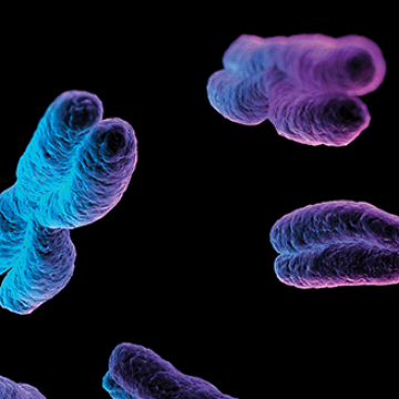 Blue and purple DNA